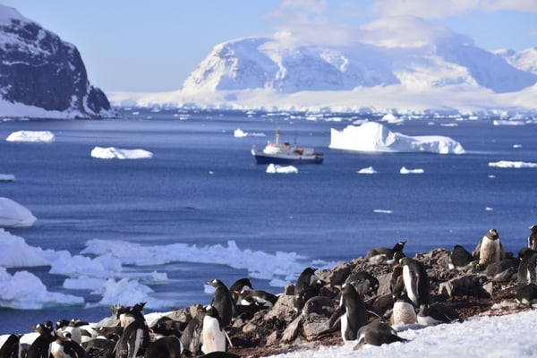Антарктика Полярный Круг Глубокий Юг Открытие